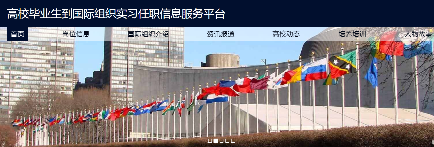 高校毕业生到国际组织实习任职信息服务平台2.png