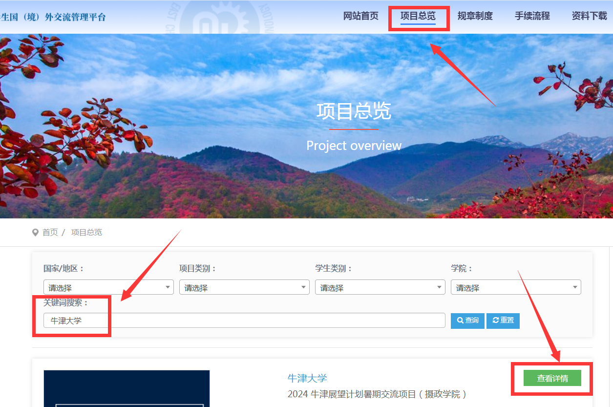 项目总览.png